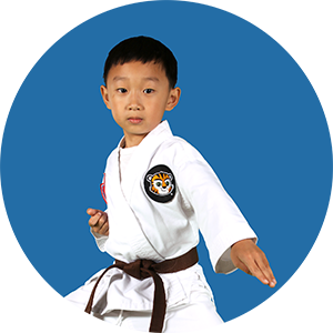 ATA Martial Arts Hoover's ATA Martial Arts Karate for Kids